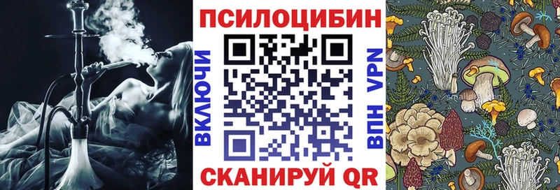 где найти Печора Галлюциногенные грибы мицелий
