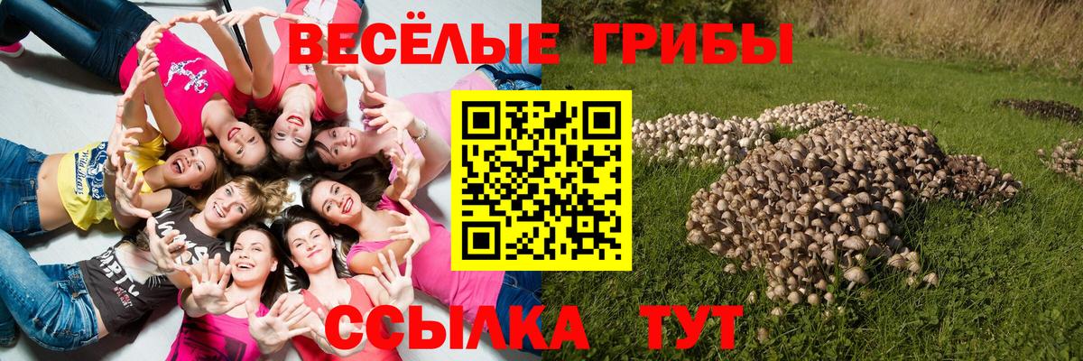 Галлюциногенные грибы Psilocybe Печора